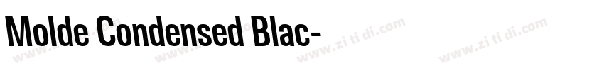 Molde Condensed Blac字体转换
